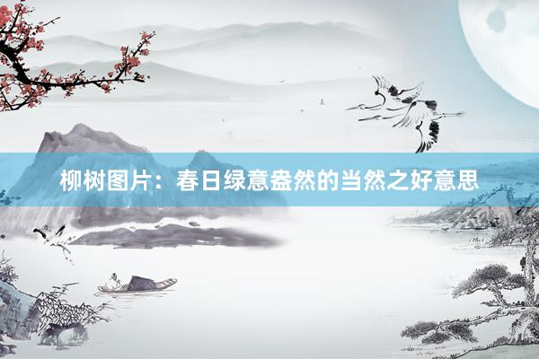 柳树图片:春日绿意盎然的当然之好意思